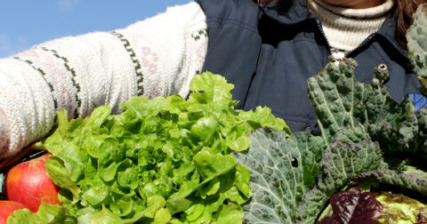 Une maraîchère souriante tenant un panier rempli de légumes frais